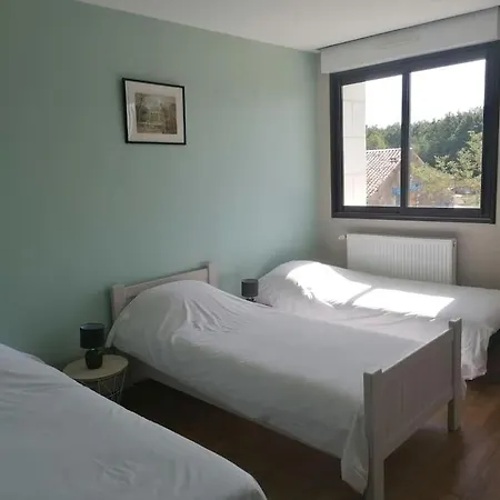 Holiday home 12 P Futuroscope - Chez Regis - 4 Etoiles Chalandray
